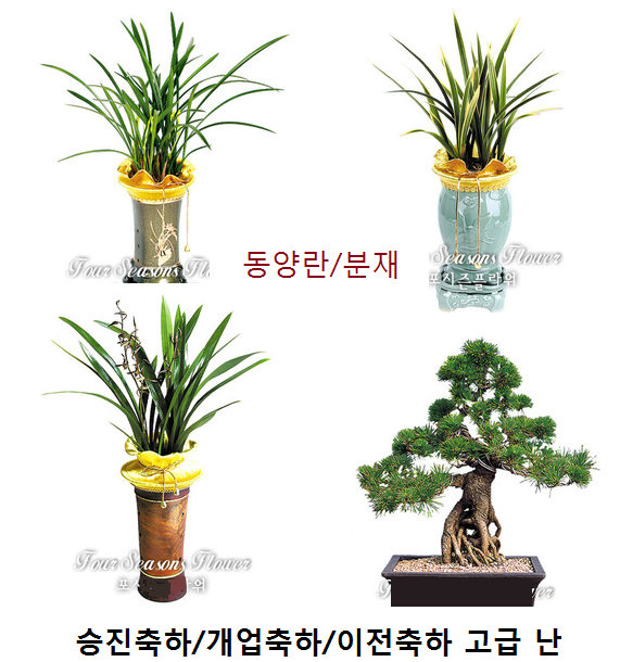 연세아산산부인과의원 이미지