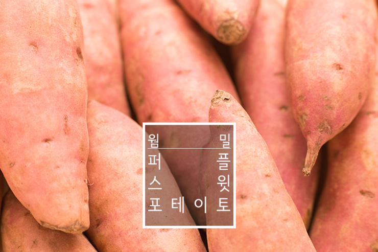 웜밀 이미지