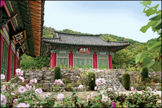삼성사 이미지