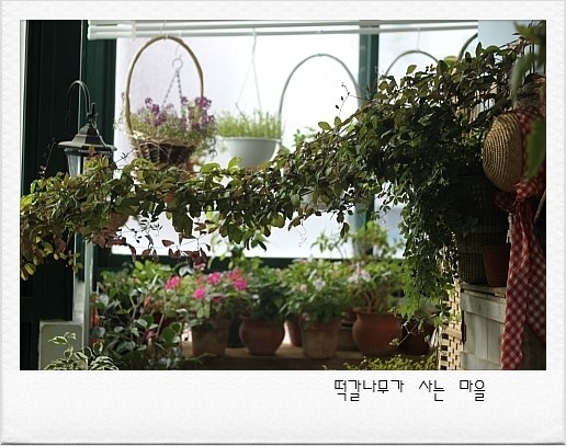 퍼플미학 이미지