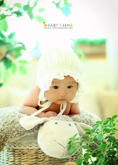 아이라임스튜디오 이미지