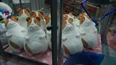 오레오레 이미지