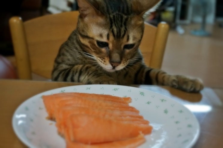 꽁꽁푸드 이미지