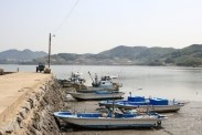 선어삼합회장님 이미지