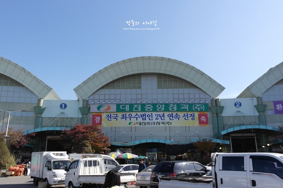 대진청과 이미지