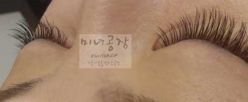 미녀공장 이미지