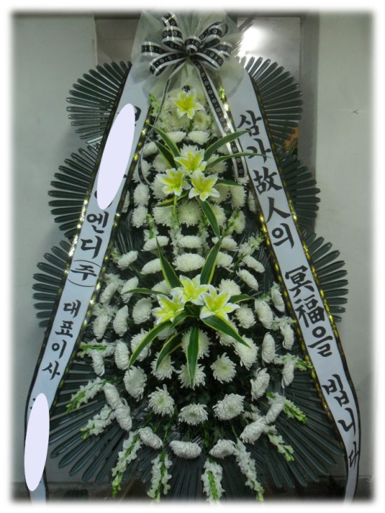 야탑동 351 (분당차병원) 이미지