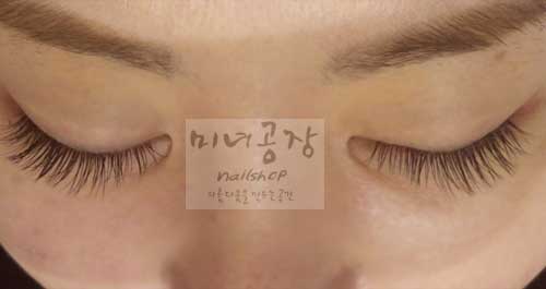 미녀공장 이미지