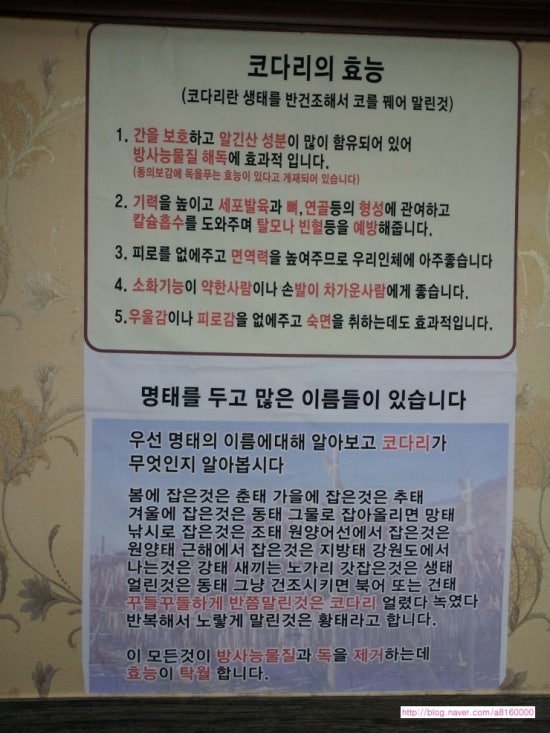 소문난이모코다리 이미지
