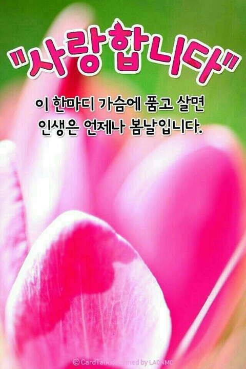소메랑 이미지