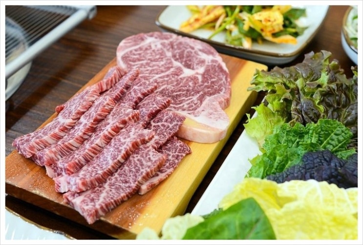 정담채 이미지