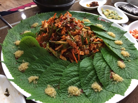 회스토리 이미지
