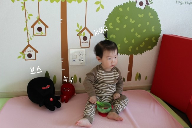 디자인스킨 이미지