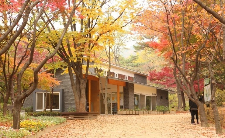 힐링숲협동조합 이미지