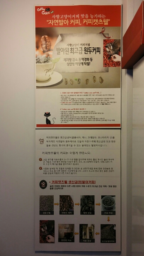 켓츠웰 이미지