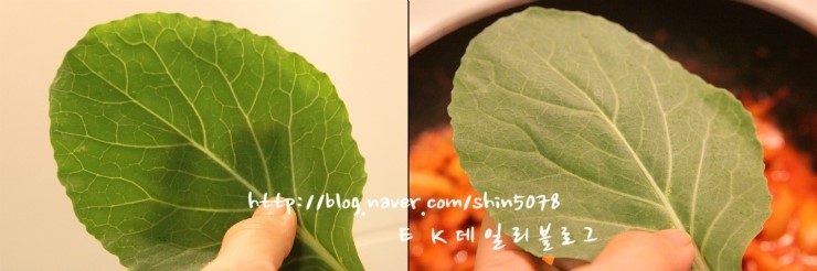 신의유통 이미지