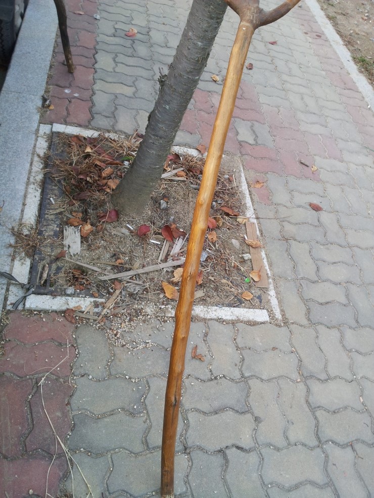 삼보양복 이미지