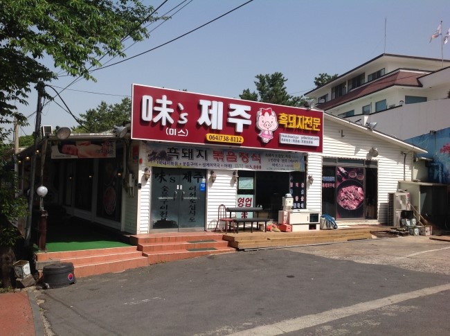 미스돼지 이미지