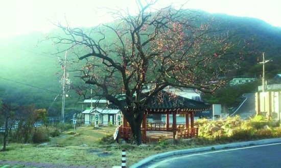 피아골오토캠핑장 이미지