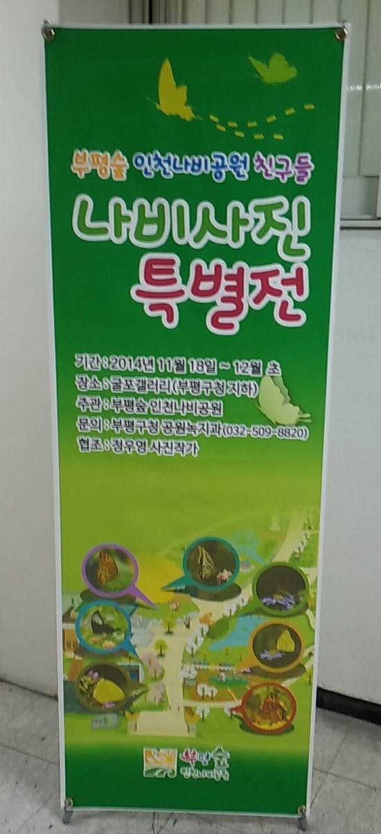 갤러리나비 이미지