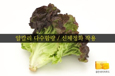 골든네이쳐푸드 이미지