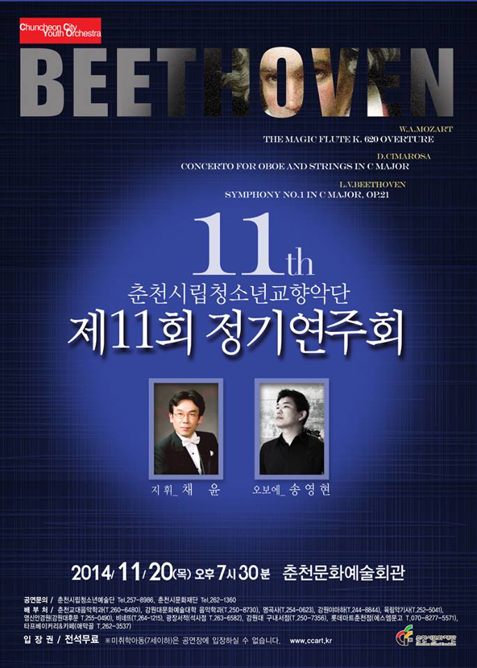 춘천청소년교향악단 이미지