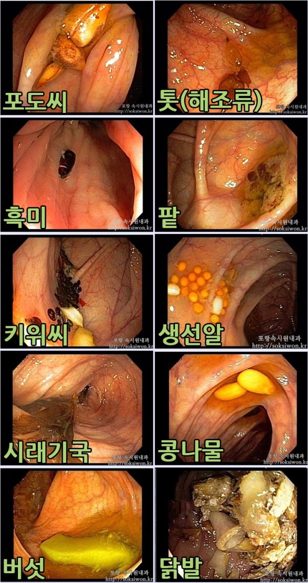 장안속내과 이미지