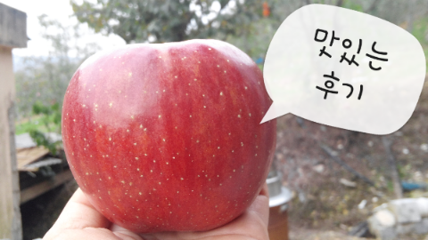 호야네농장 이미지