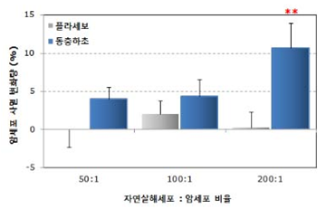 동아식품 이미지