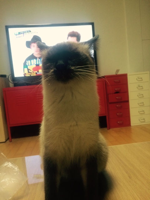 놀아줘 이미지