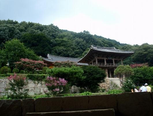 민족고기사랑 이미지