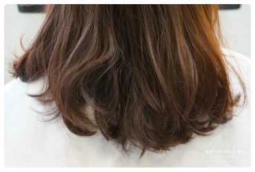 베누스헤어 이미지