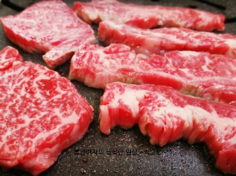 호야암소한마리 이미지