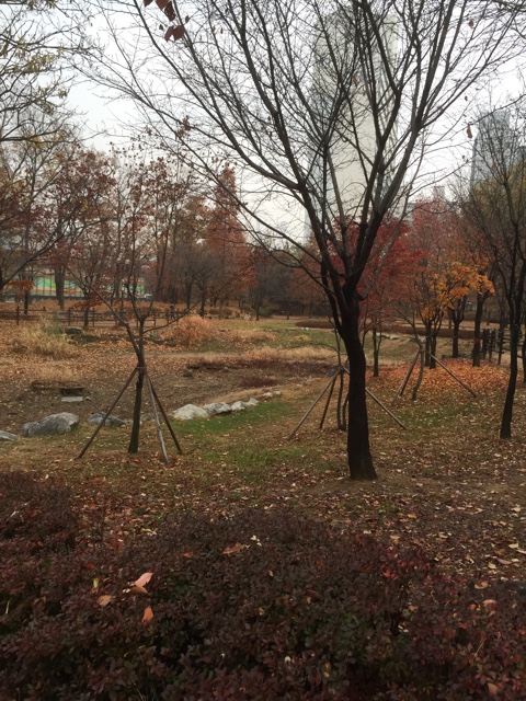 경수산림 이미지