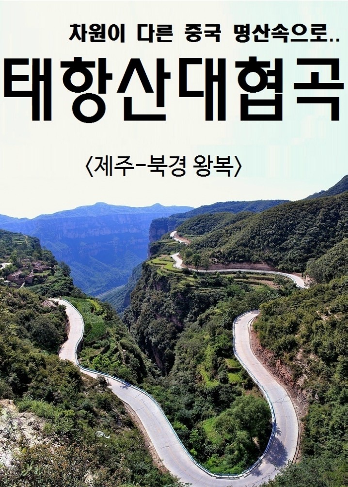 푸른항공여행사 이미지