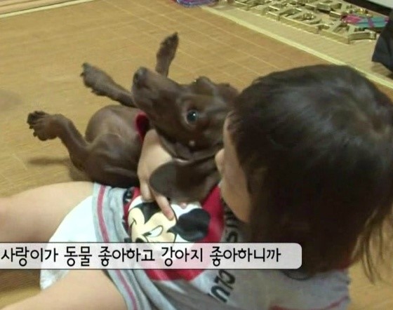 (주)엄마사랑 이미지