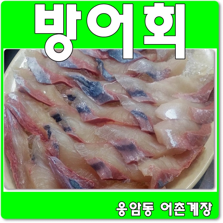 어촌놈횟집 이미지