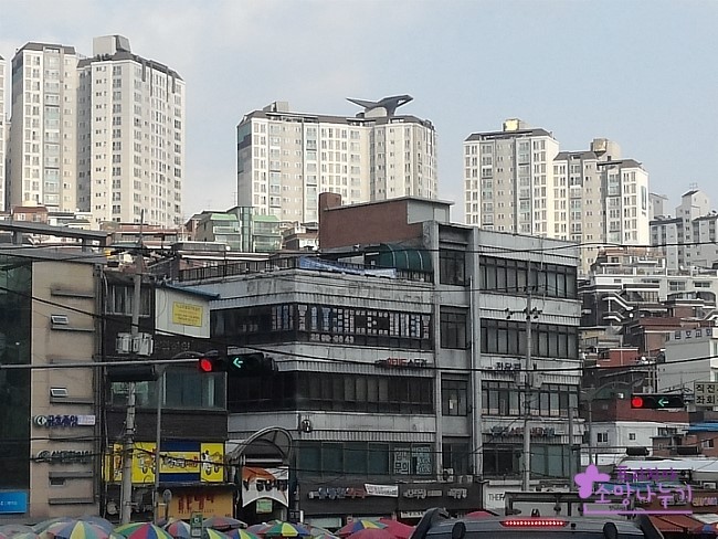 돌고래아파트 이미지