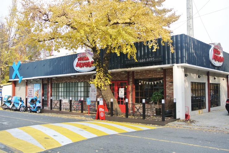 피자알볼로직영점 이미지