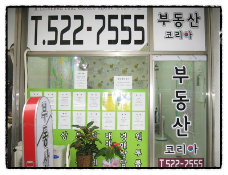 포도힐 이미지