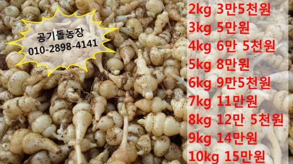 초석농장 이미지