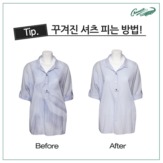 크로커다일앞 이미지