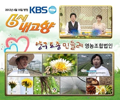 양구민들레영농조합법인 이미지