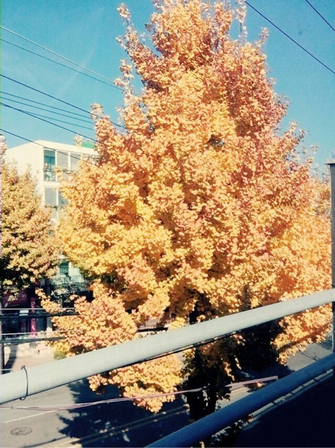 B612초밥 이미지
