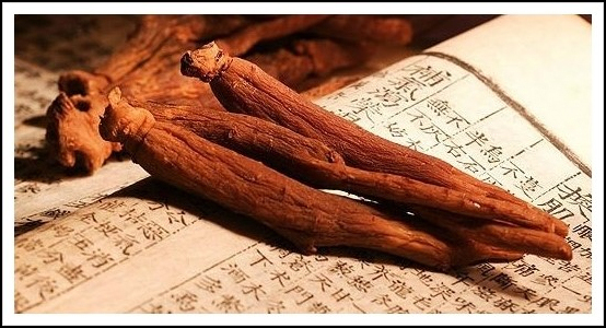 고려인삼제품 이미지