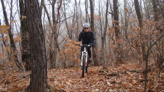 일MTB 이미지