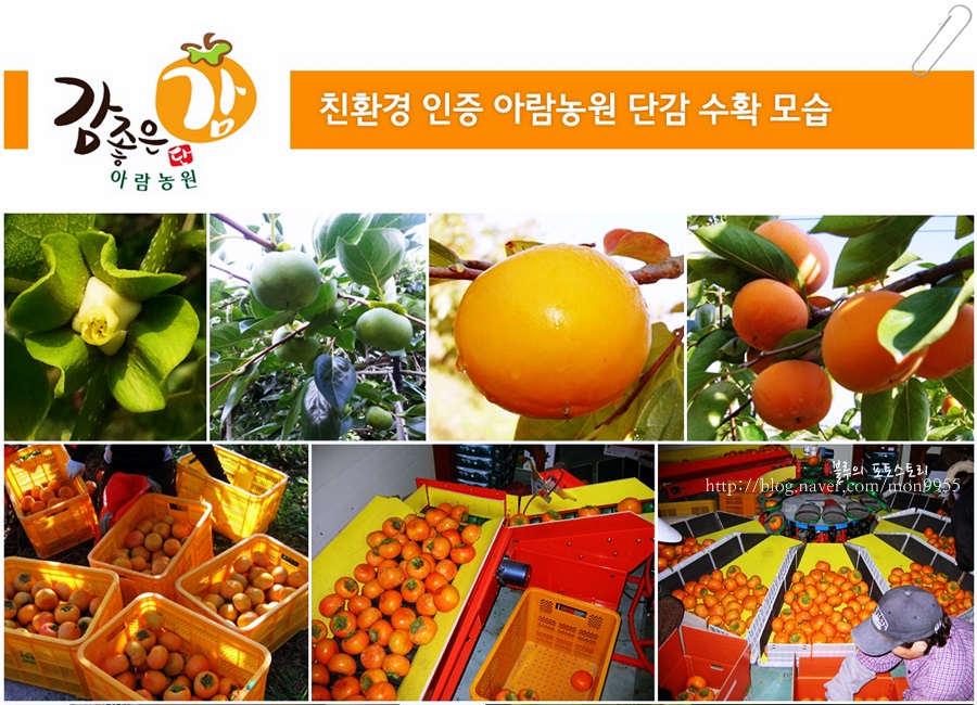 해늘농원 이미지