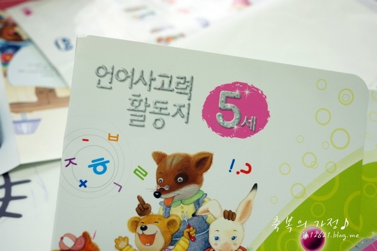 오르다T 이미지