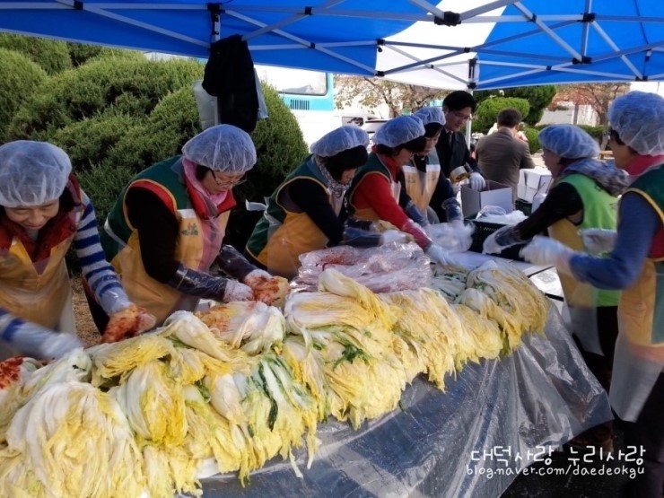 한국타이어빛과소금 이미지