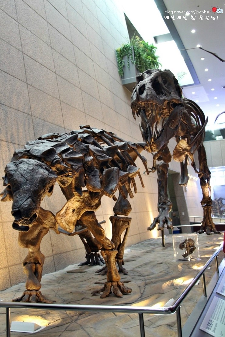한국항공우주연구원(시험실) 이미지